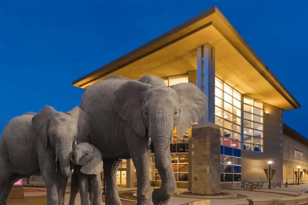 three elephants photoshopped in front of a library