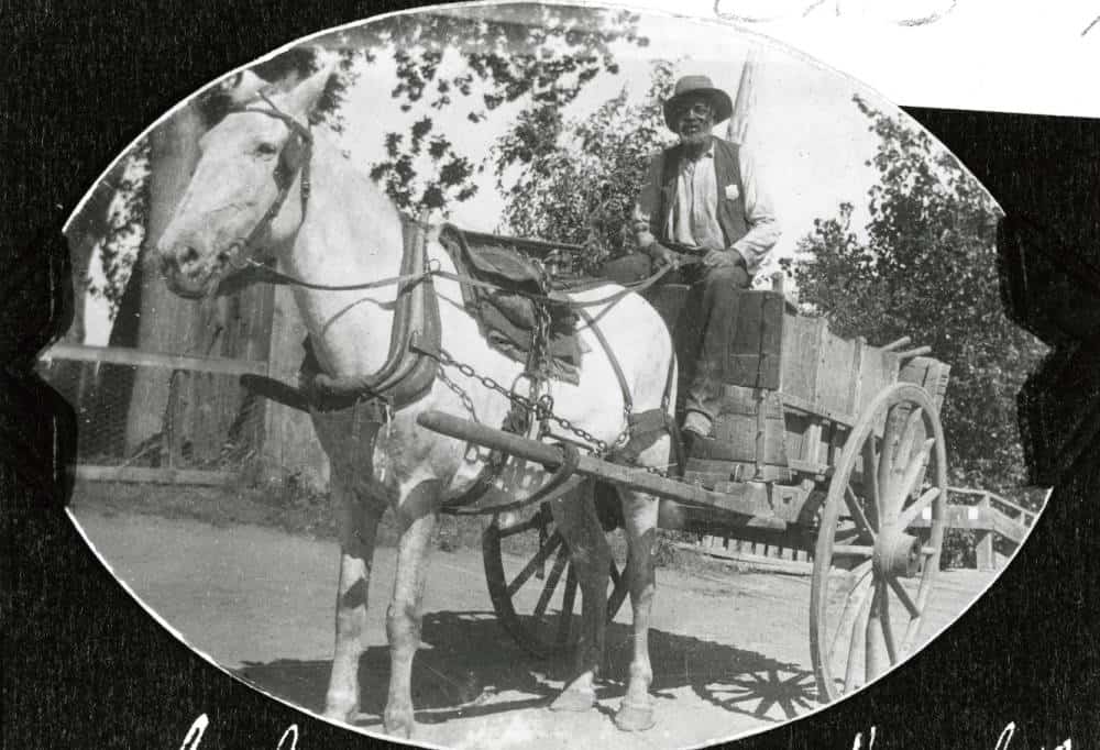 charley clay driving a horse cart