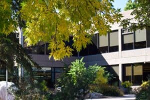 Tree with yellow leaves in front of a rectangular brown stone building called old town library.