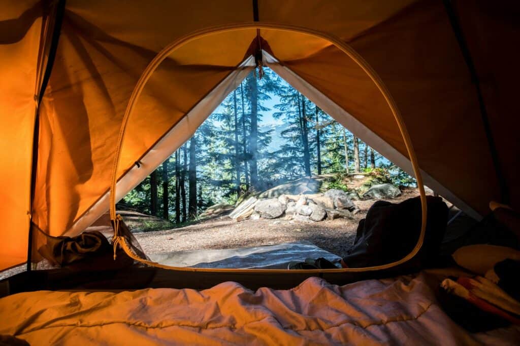 Looking out towards a forest from the inside of a yellow camping tent.