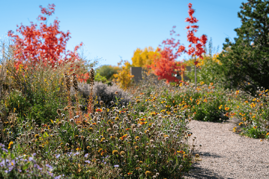 Colorful plants at the Gardens on Spring Creek