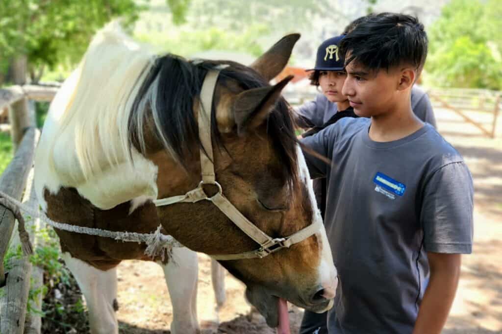 Young boys petting a horse outdoors