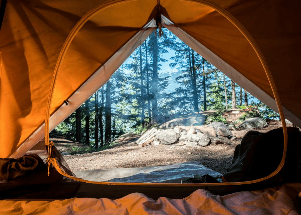 Looking out towards a forest from the inside of a yellow camping tent.