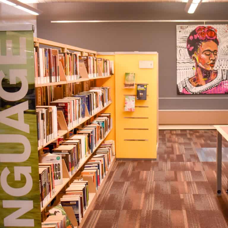 World language section at a library