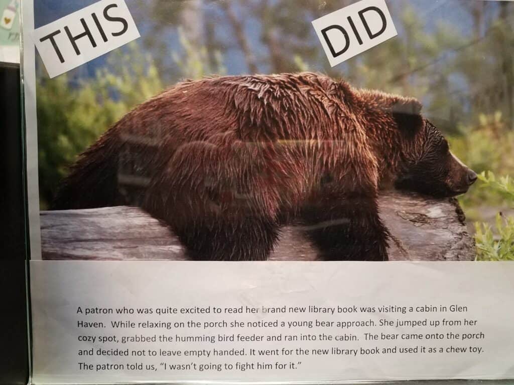 Picture of a bear with a label reading "this did"