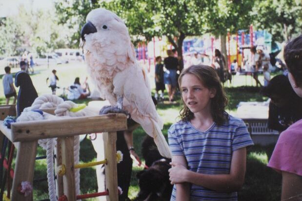 exotic bird in library park for a summer reading program