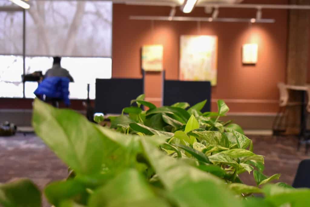 plants inside a library