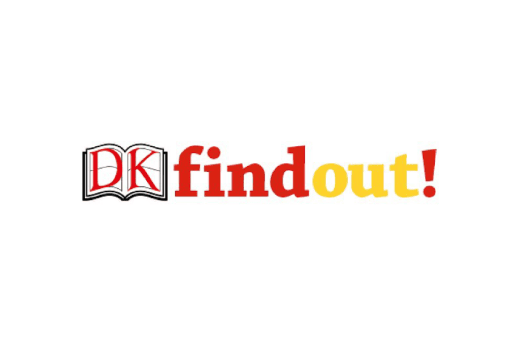 DK Findout logo