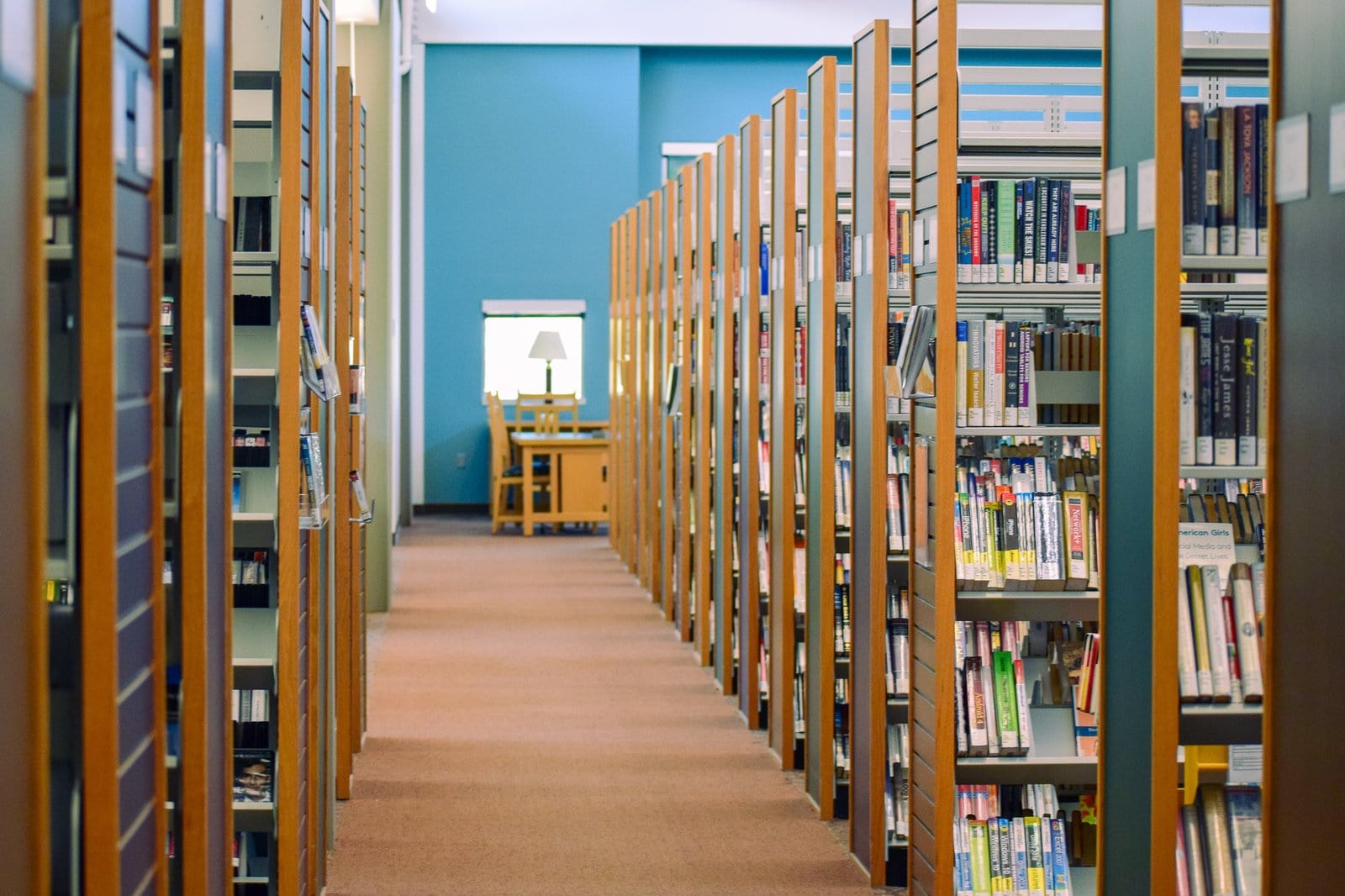 Library Book Shelves