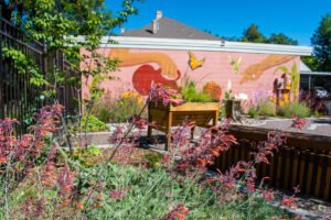 a colorful garden behind a building