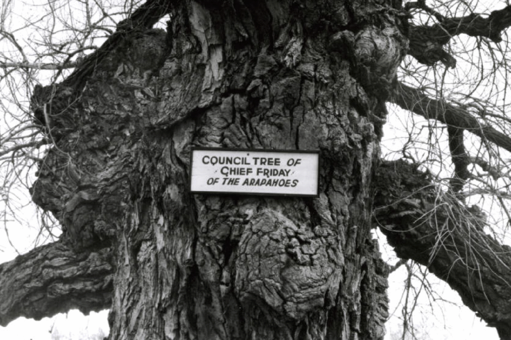 historic image of the arapaho council tree
