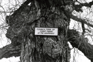 historic image of the arapaho council tree