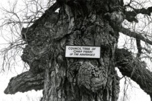 historic image of the original Arapaho council tree