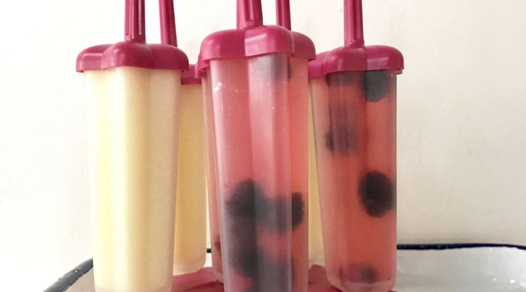 paletas de diferentes sabores en moldes sobre una mesa
