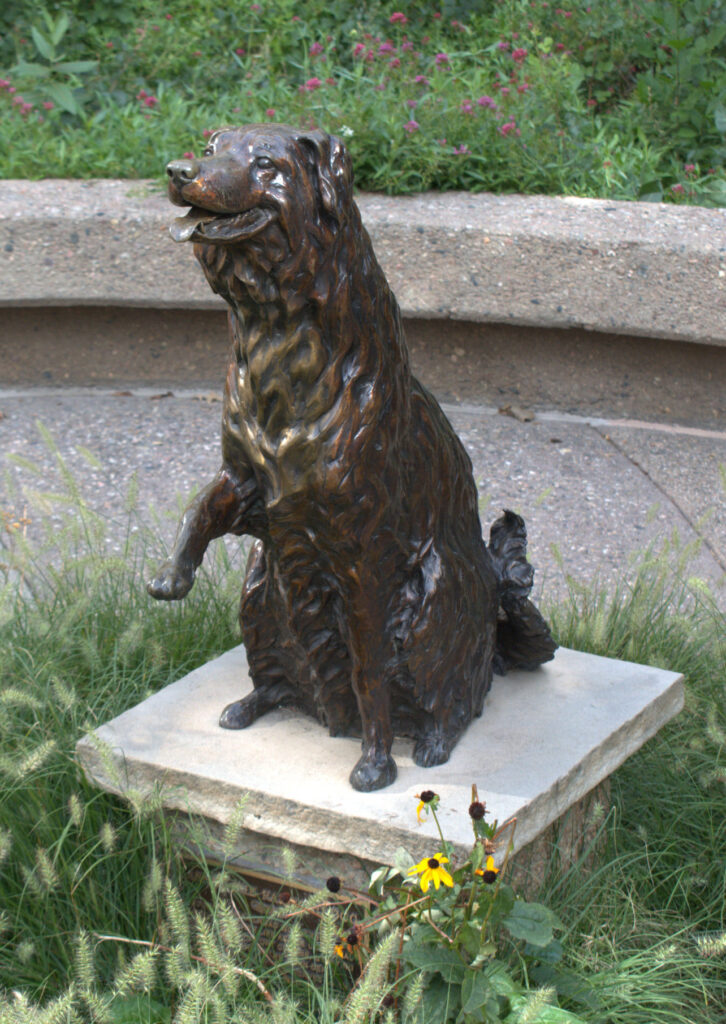 Bronze statue of Annie the Railroad dog near the entrance to Old Town Library.